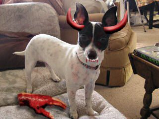 Speck is evil